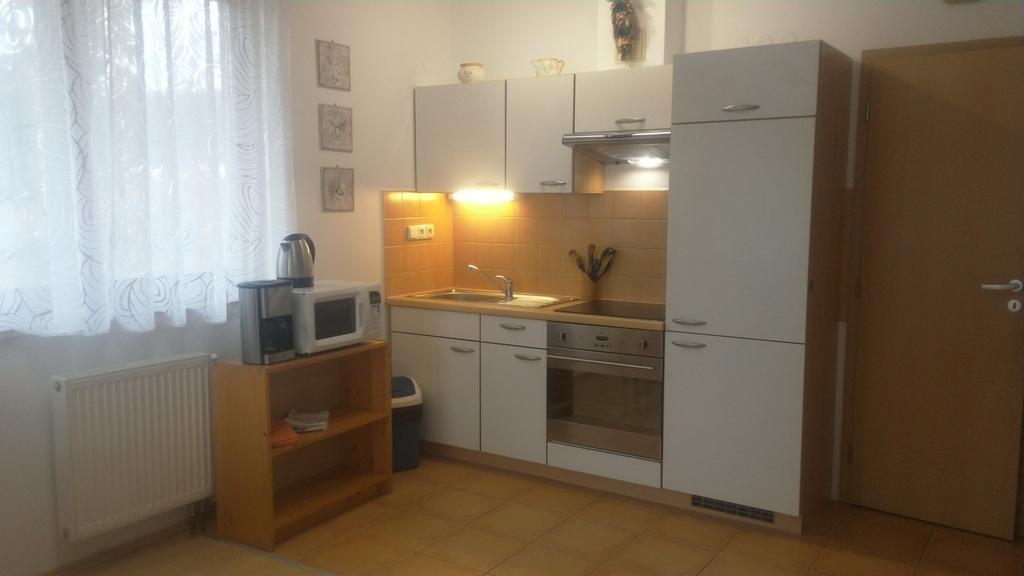 Apartment Lipno 伏尔塔瓦河畔利普诺 外观 照片