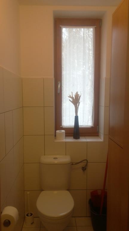 Apartment Lipno 伏尔塔瓦河畔利普诺 外观 照片