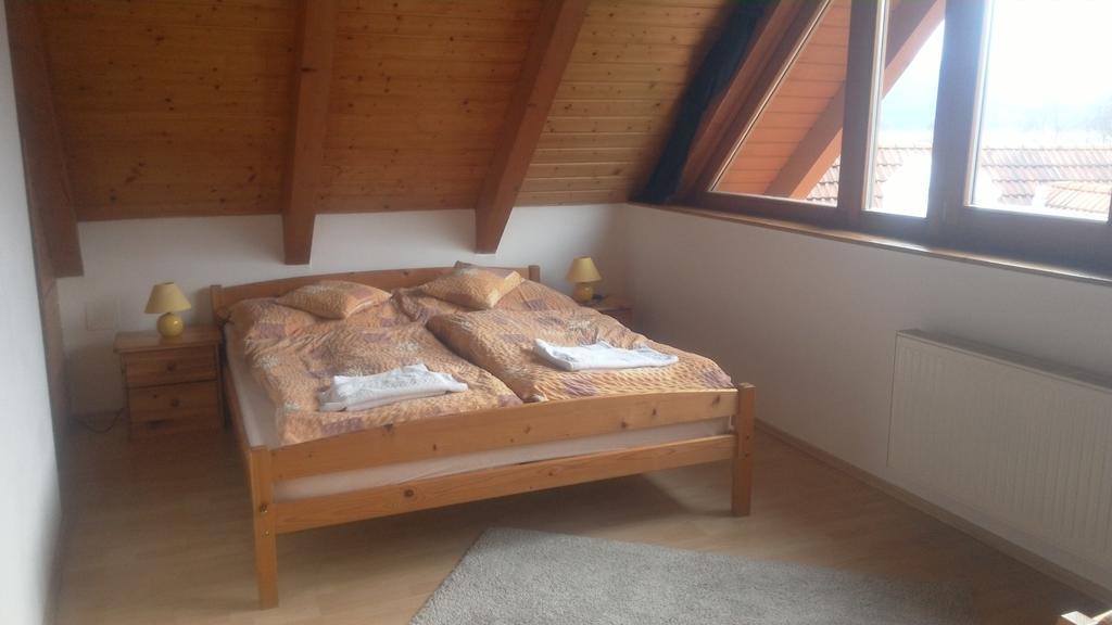 Apartment Lipno 伏尔塔瓦河畔利普诺 外观 照片